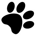ACTIVE DOG